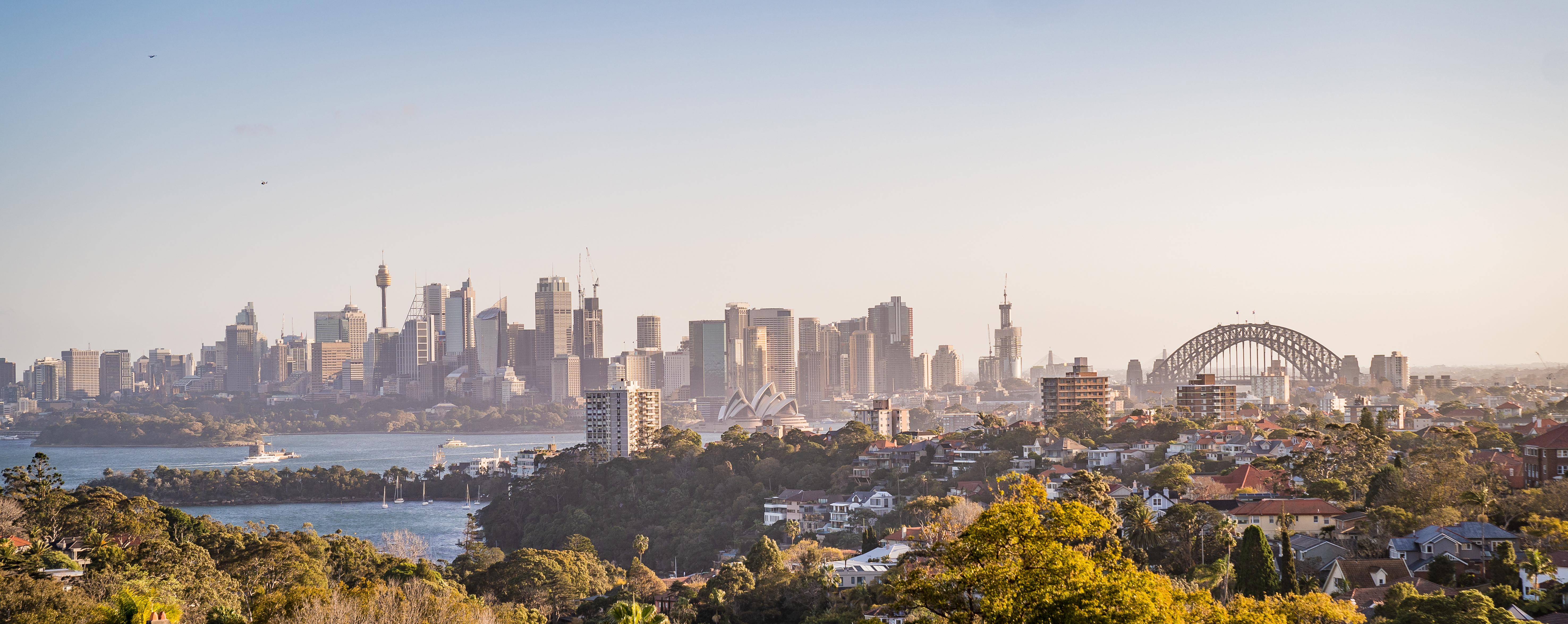 Sydney city skyline and harbour views