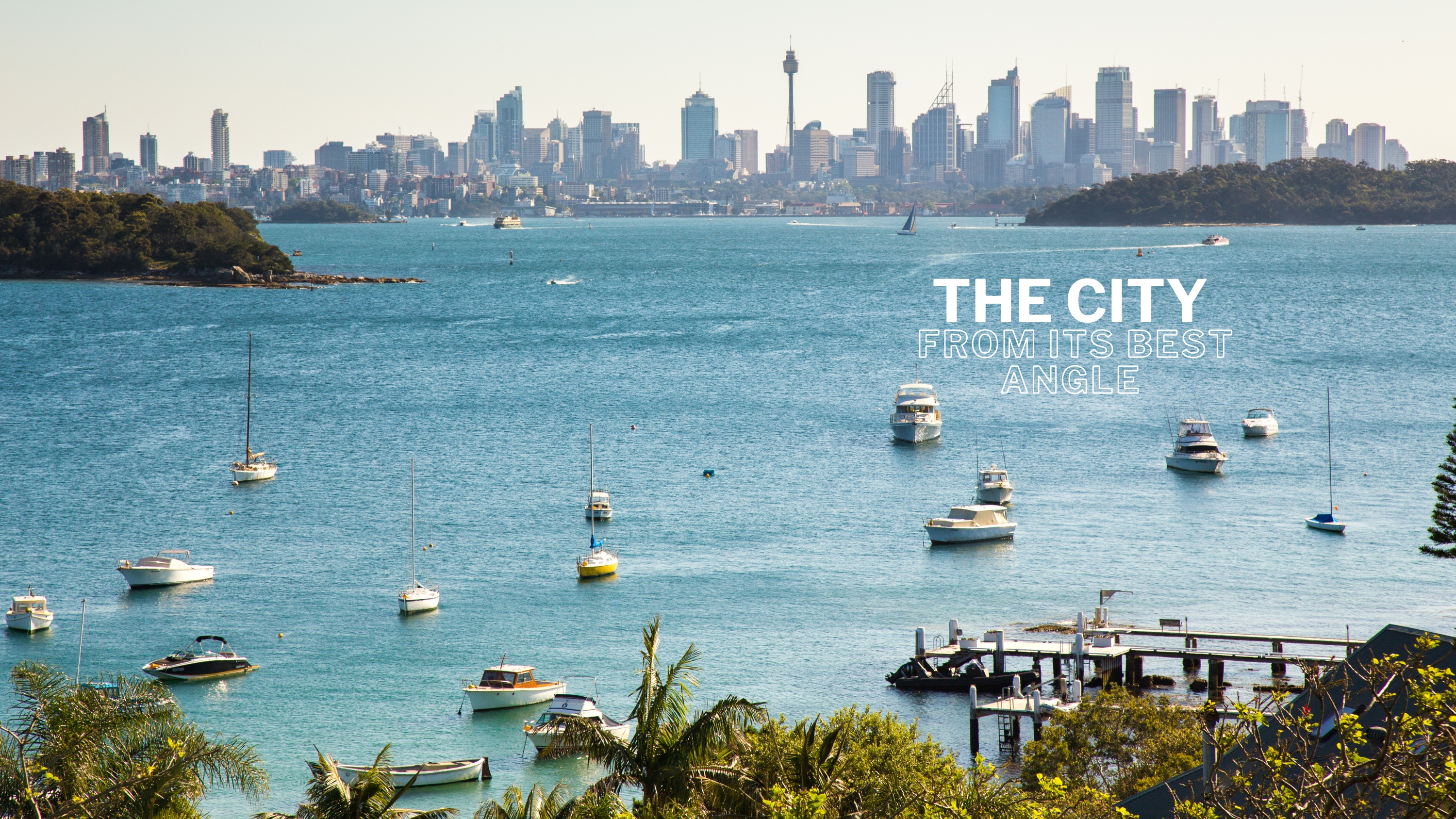 Wavii Yachts — Sydney Harbour cruise 7