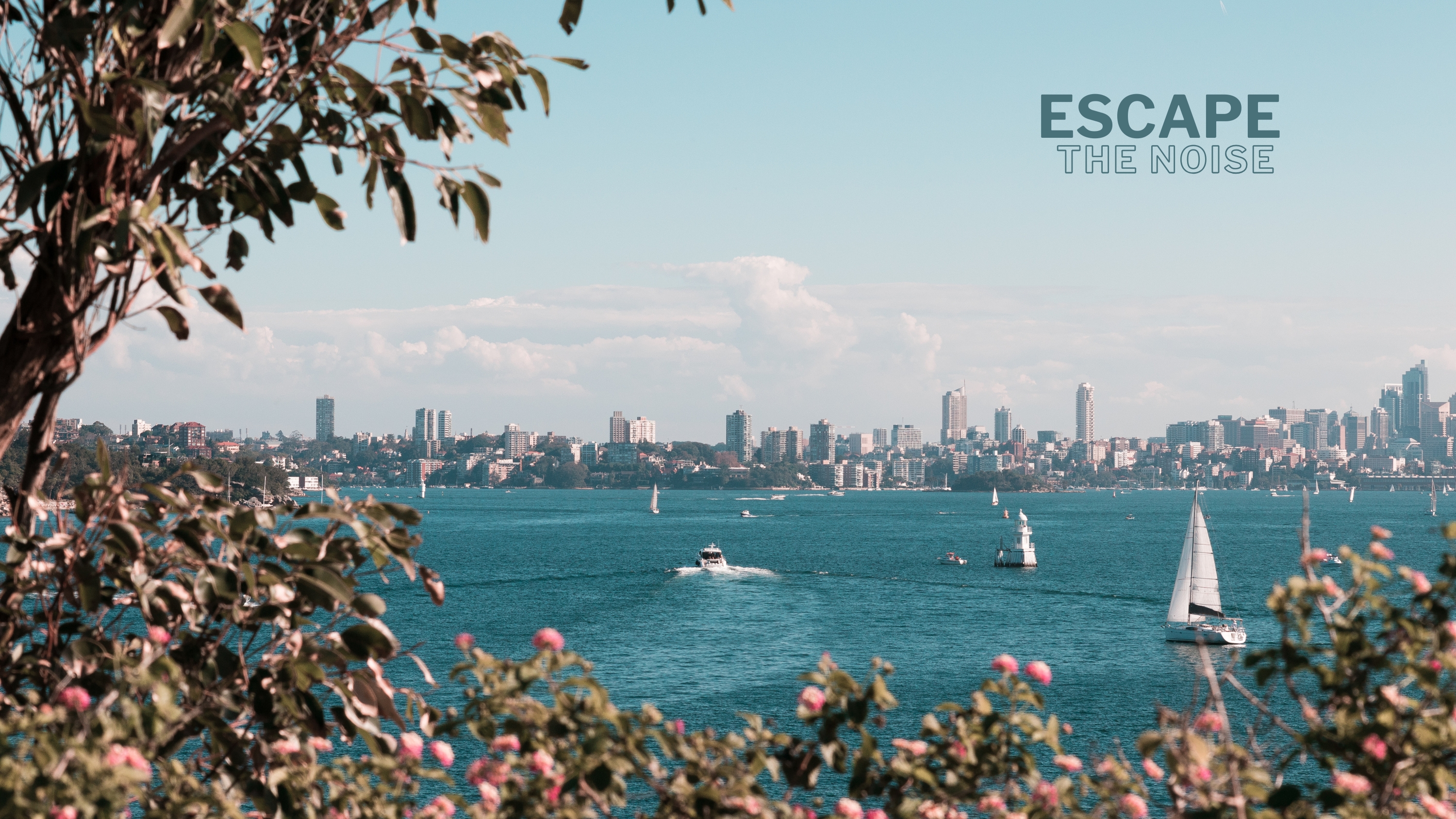 Wavii Yachts — Sydney Harbour cruise 4