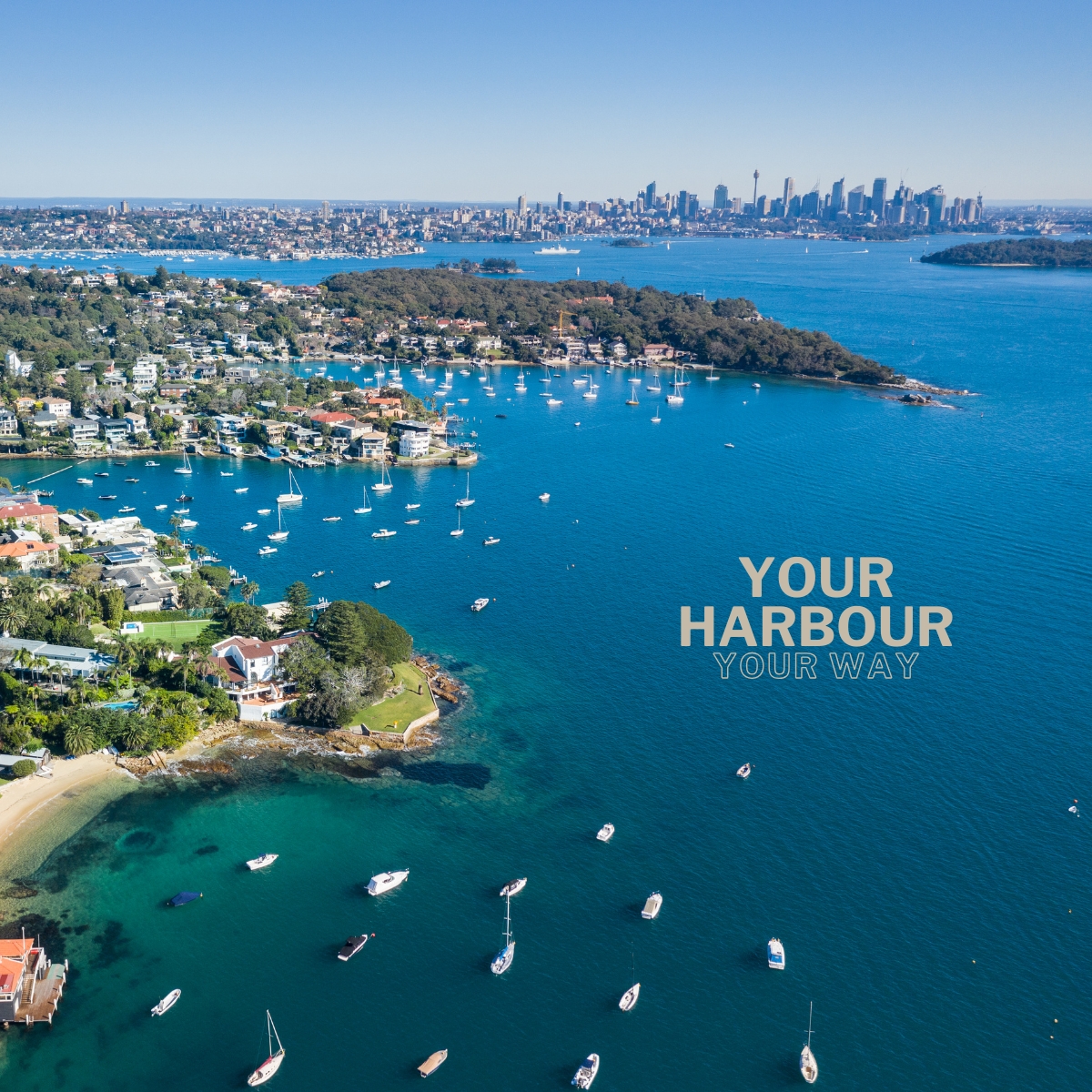 Wavii Yachts — Sydney Harbour cruise 4