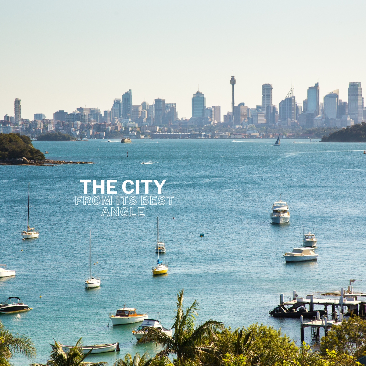 Wavii Yachts — Sydney Harbour cruise 8