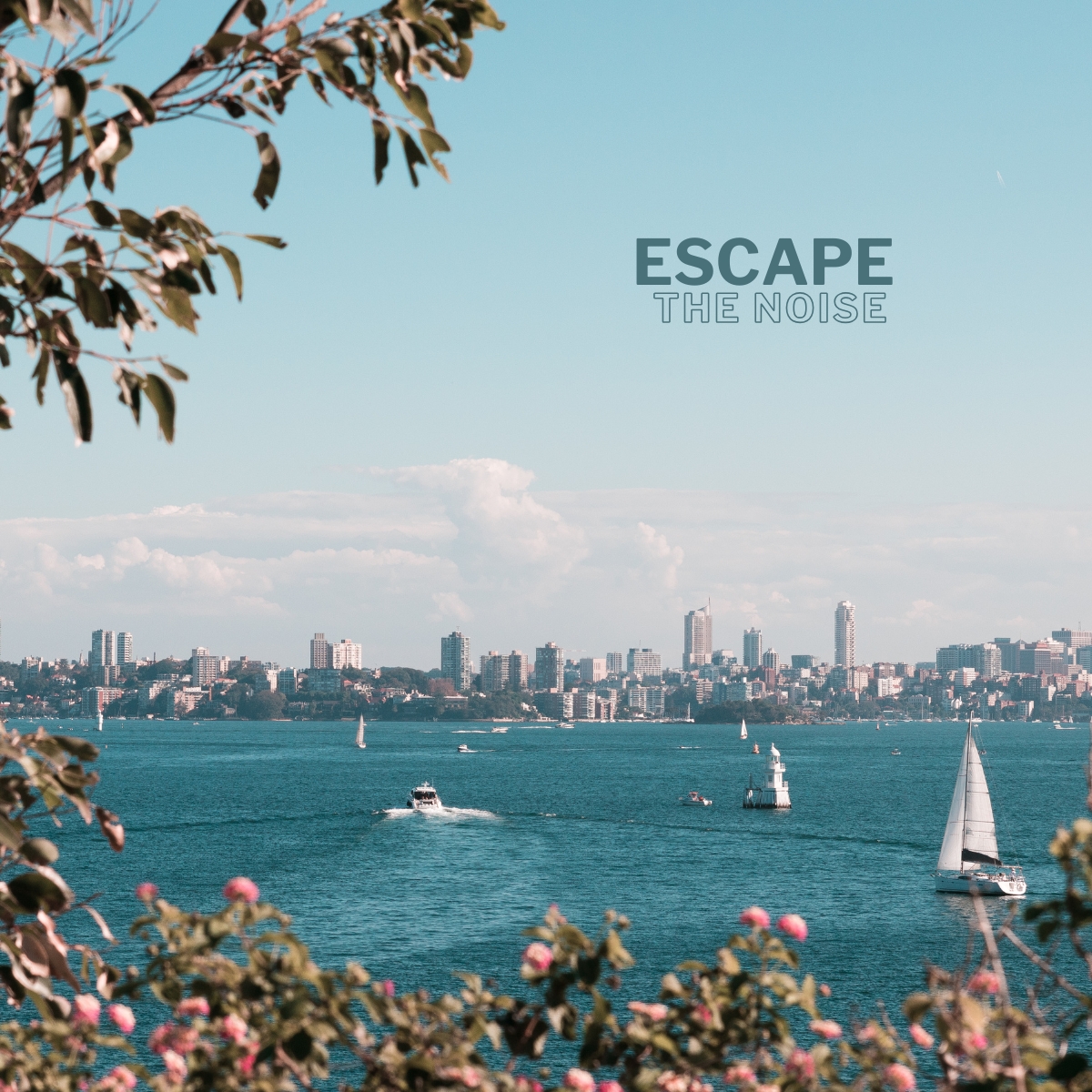 Wavii Yachts — Sydney Harbour cruise 6