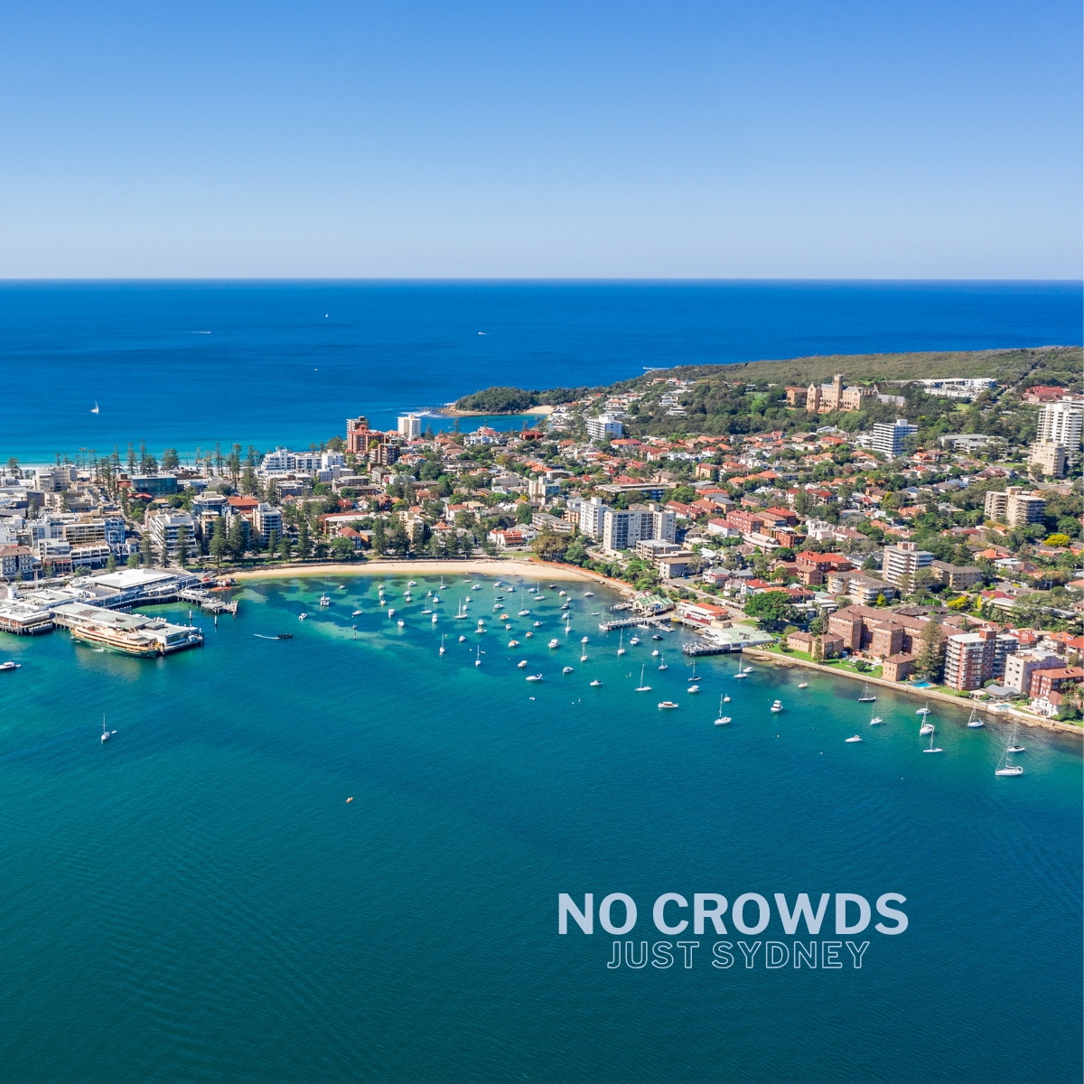 Wavii Yachts — Sydney Harbour cruise 7