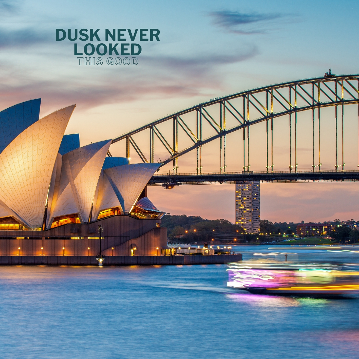 Wavii Yachts — Sydney Harbour cruise 11
