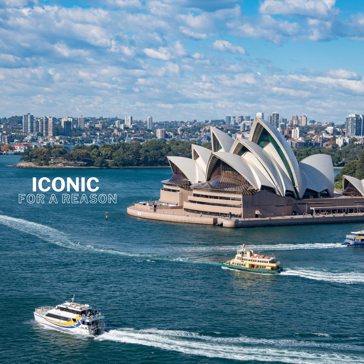 Wavii Yachts — Sydney Harbour cruise 1