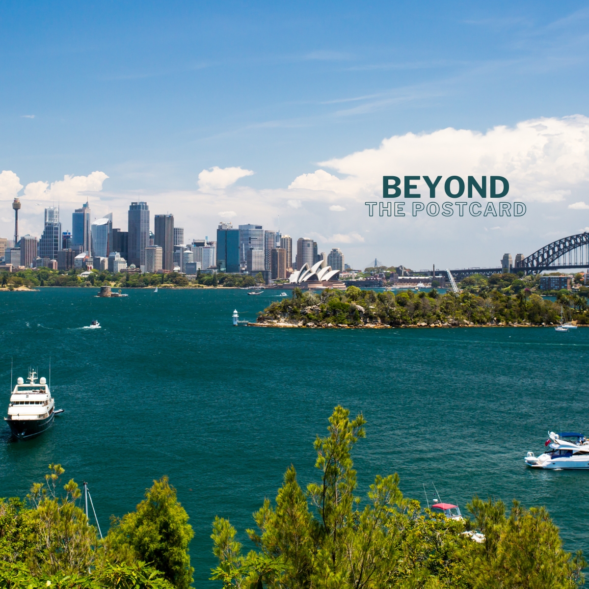 Wavii Yachts — Sydney Harbour cruise 4