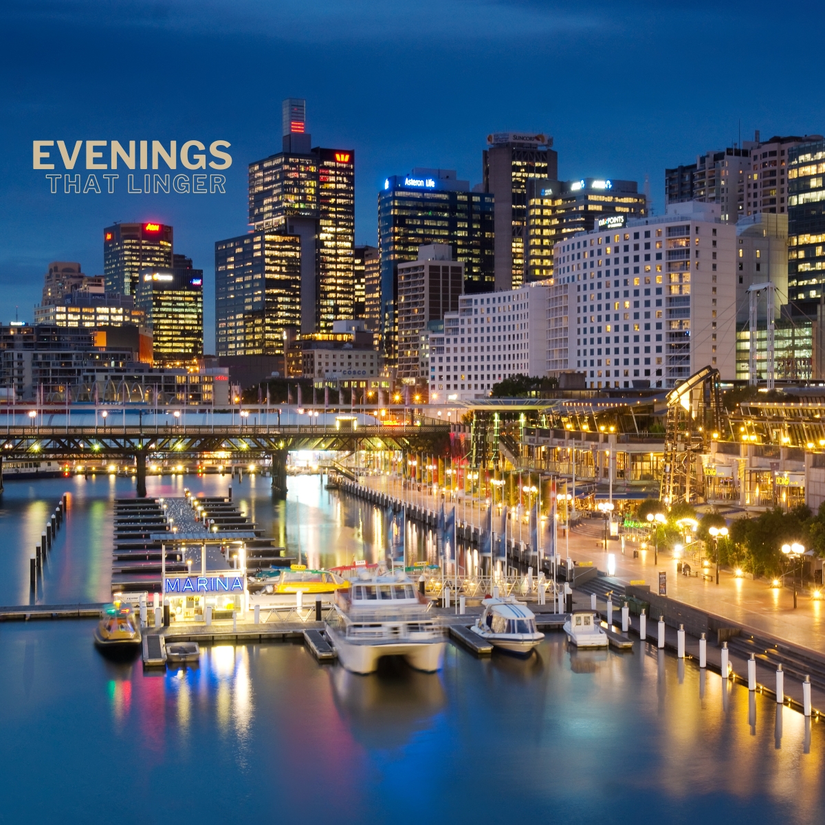 Wavii Yachts Sydney by Night cruise 8