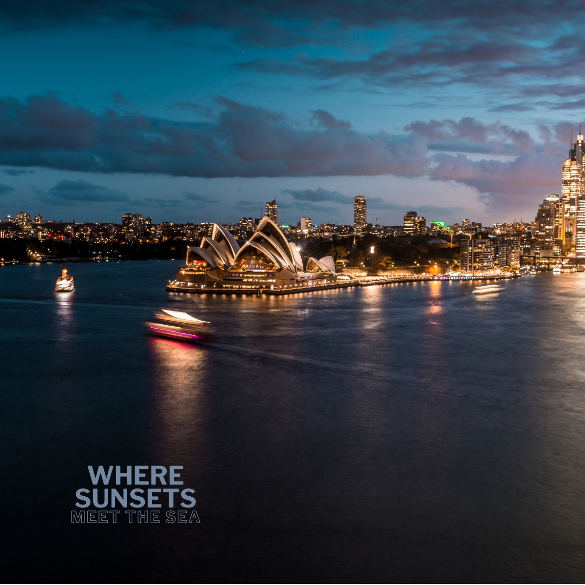 Wavii Yachts Sydney by Night cruise 10