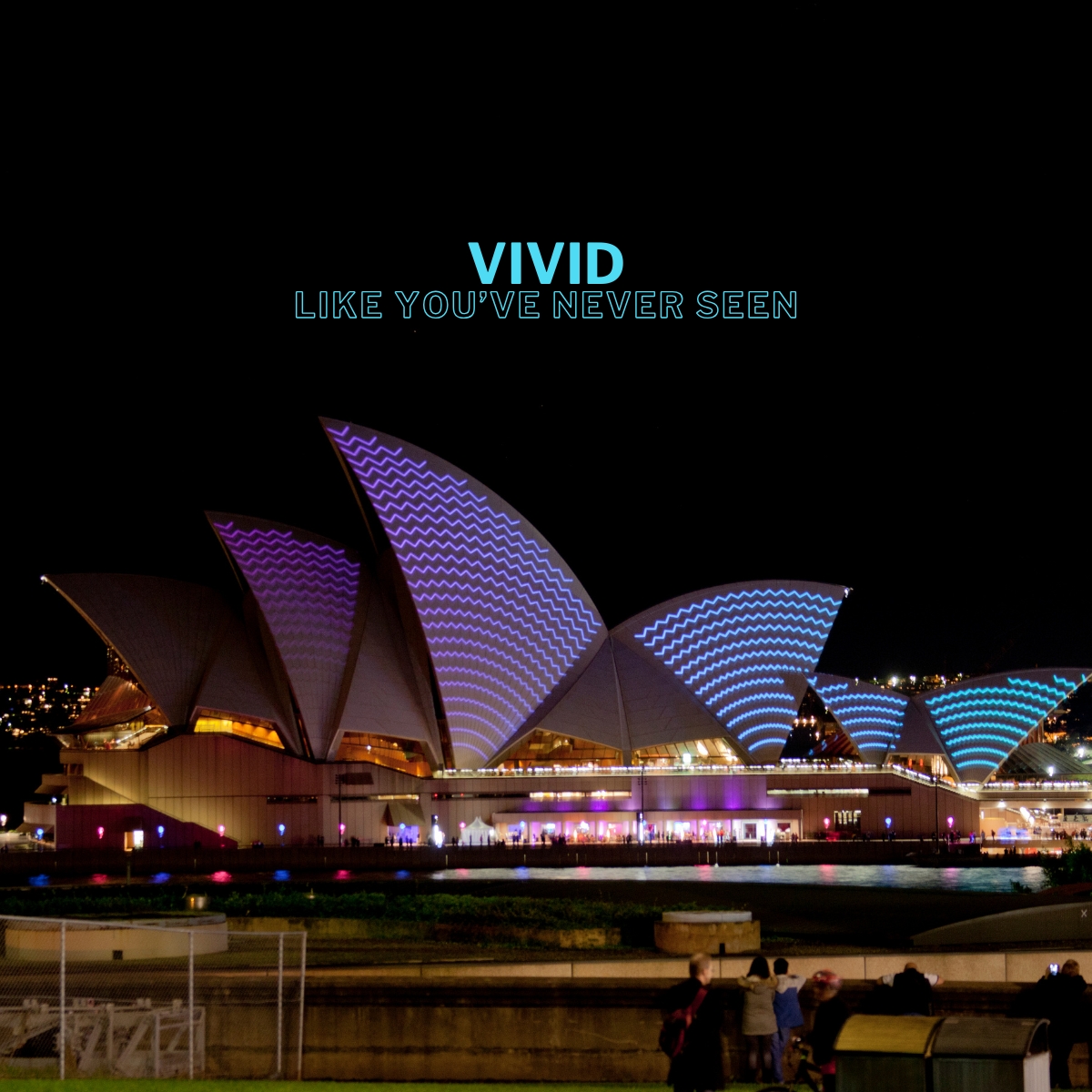 Wavii Yachts — Vivid Sydney harbour cruise 10
