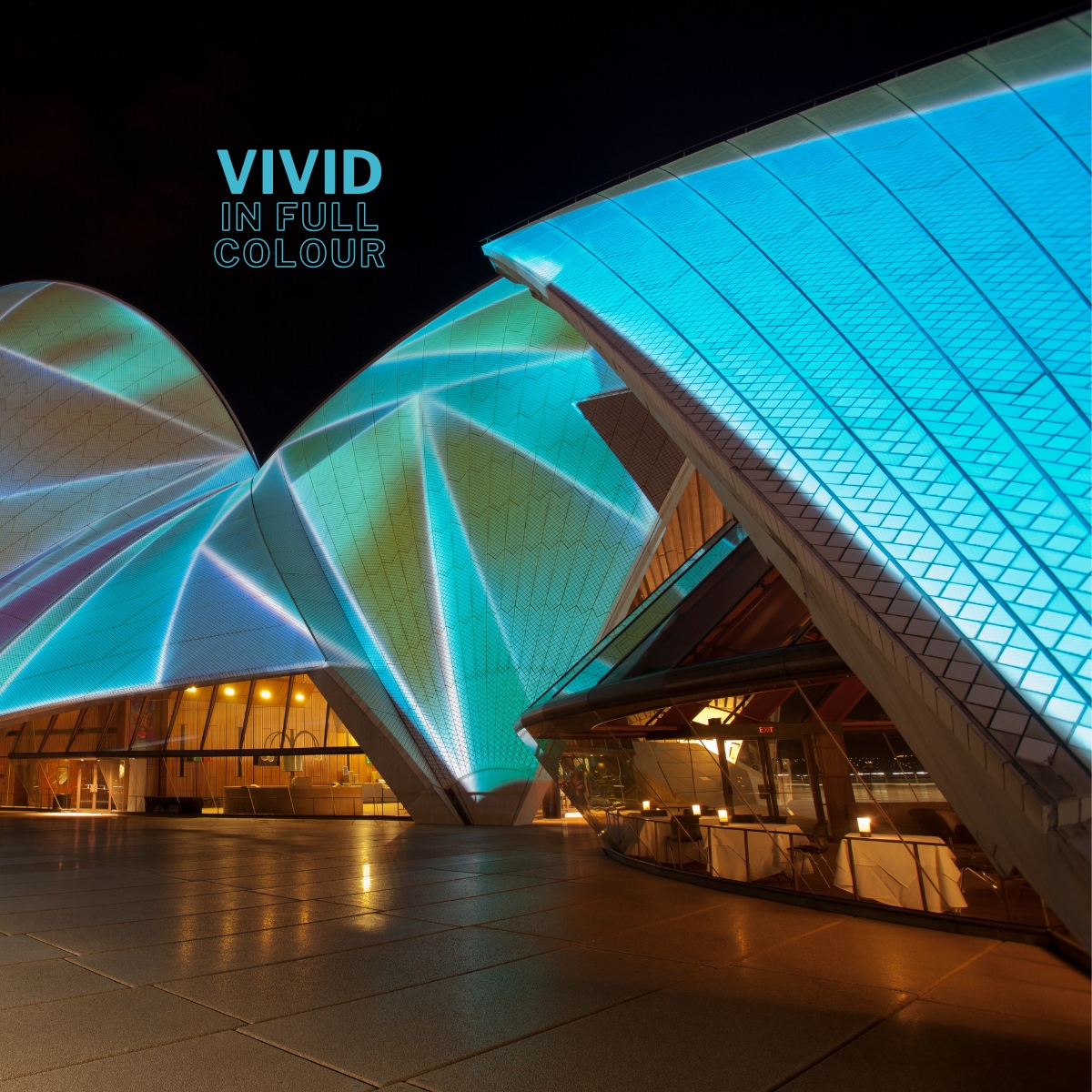 Wavii Yachts — Vivid Sydney harbour cruise 11
